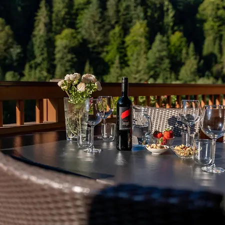 Apartman Saalbach Hinterglemm Viehhofen